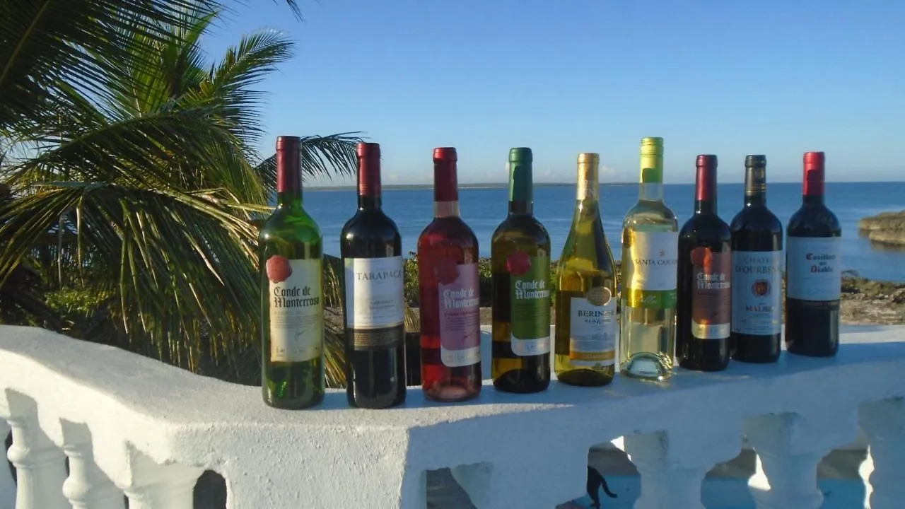 Guest house Guesthouse Villa La Isla